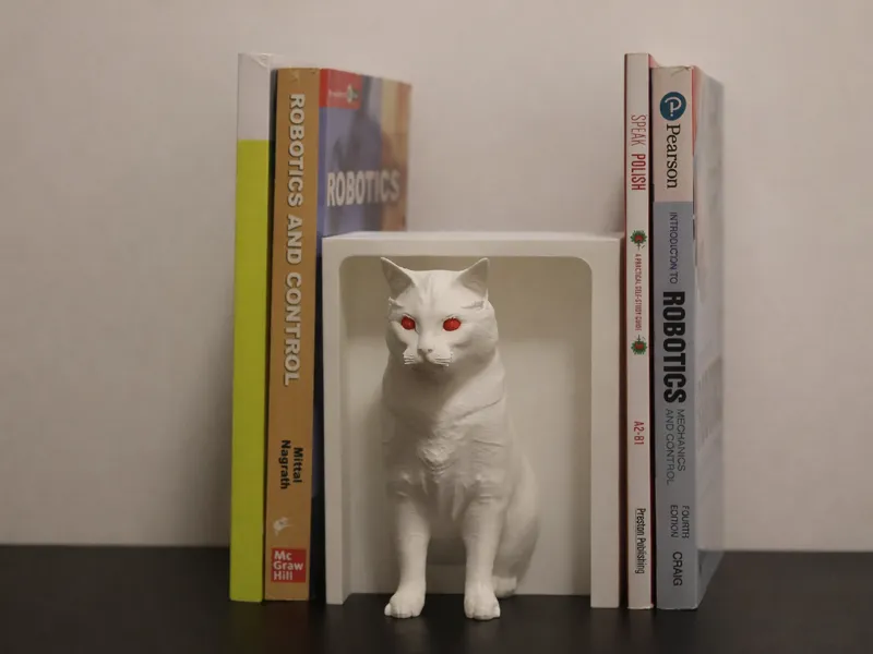 Cat Book Nook