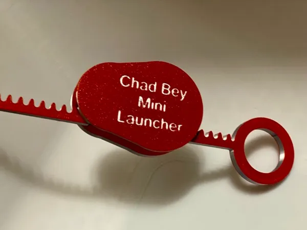https://makerworld.bblmw.com/makerworld/model/US18672992578d76/design/2025-03-02_a6648822a7ae7.jpeg