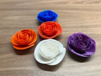 Mini rose — photo 3