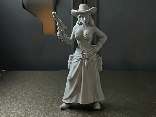 https://makerworld.bblmw.com/makerworld/model/US186c38101bc347/design/959cb670311ddf35.png