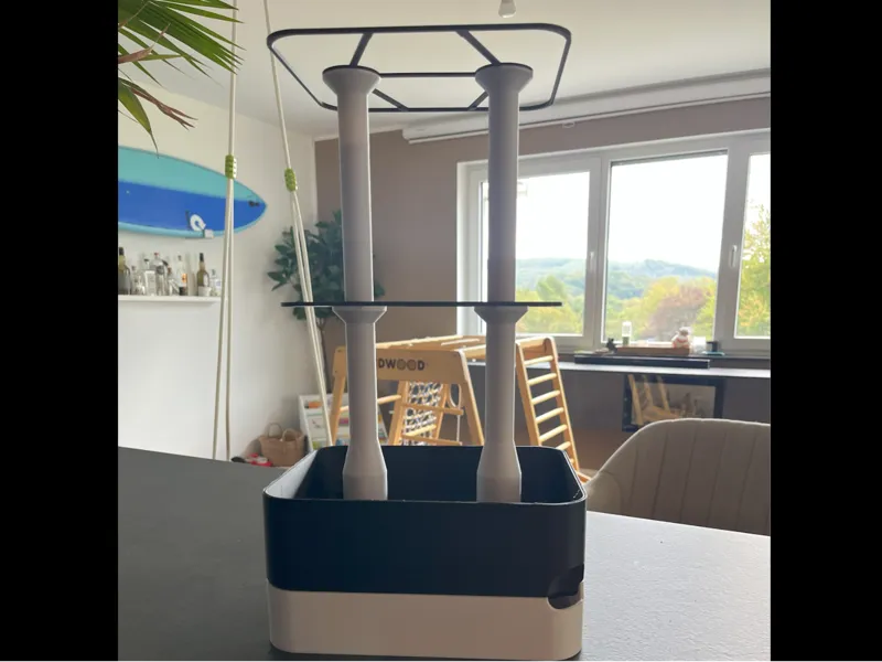 Chili / Flower planter 