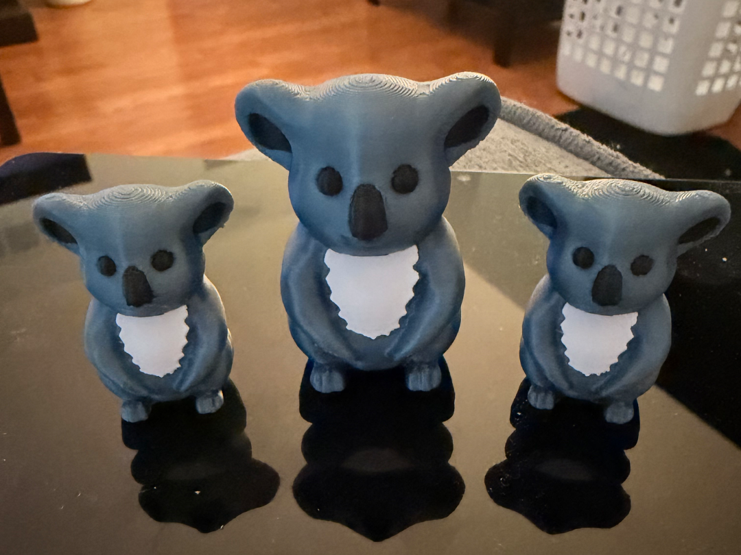 cute koala bear family