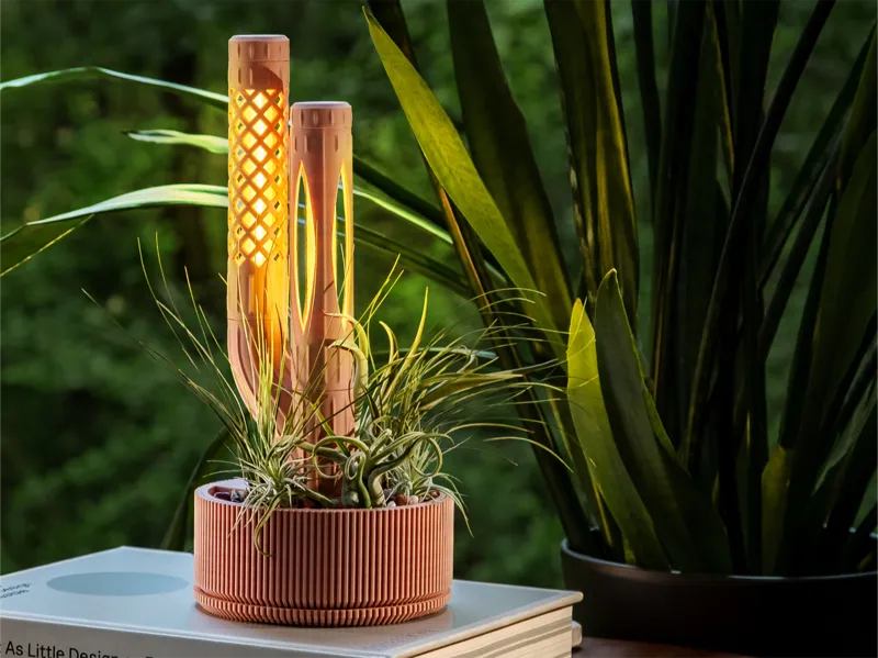 Simple Bases for Snap Lamp