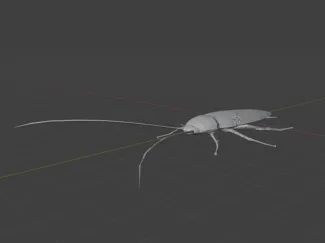 P.T. cockroach 3D model