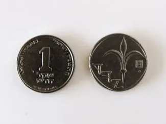 NEW ISREALI SHEKEL