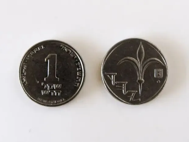 NEW ISREALI SHEKEL