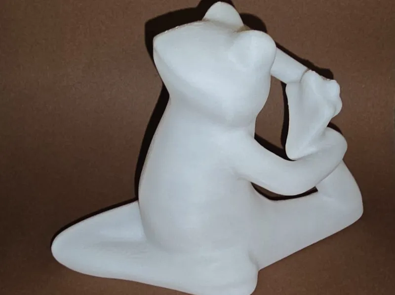 3D-scan eines sich dehnenden Frosches