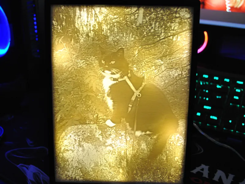 lightbox