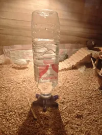 0.2mm 层高, 3 层墙, 20% 填充