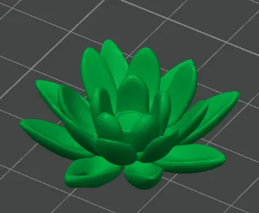 lotus flower