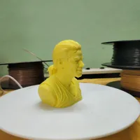 0.1mm layer, 2 walls, 15% infill