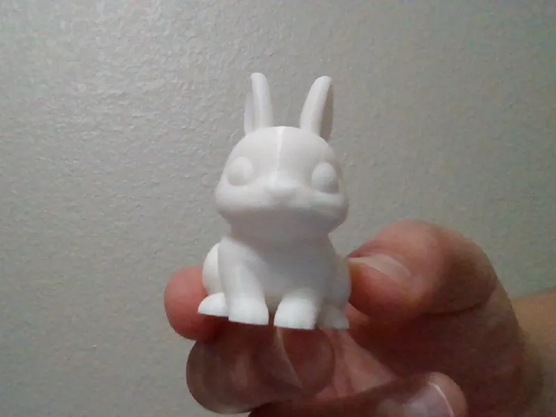 Cute bunny