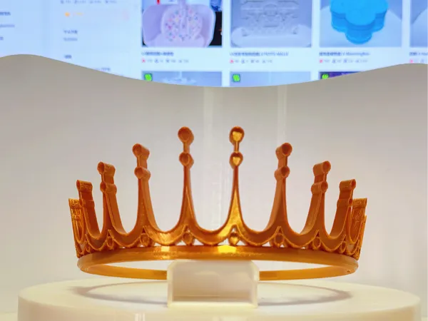 https://makerworld.bblmw.com/makerworld/model/US18801376e90da5/design/2026-01-09_daa66e492c2908.jpg