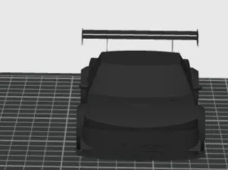 world rally car