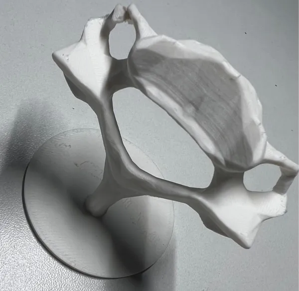 https://makerworld.bblmw.com/makerworld/model/US18901170469106/design/2024-09-29_6864ede4e70ab8.jpg