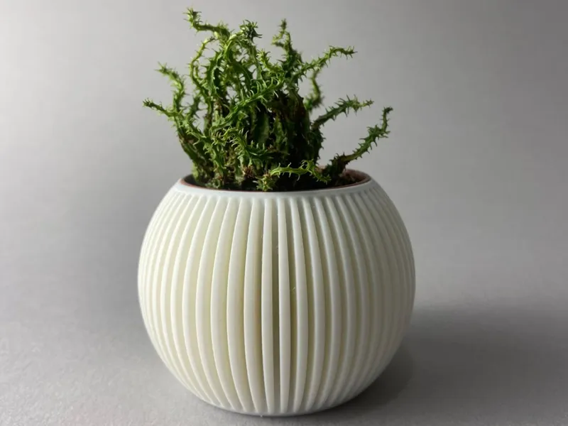 Spherical Mini Planter (fits 55mm or smaller)