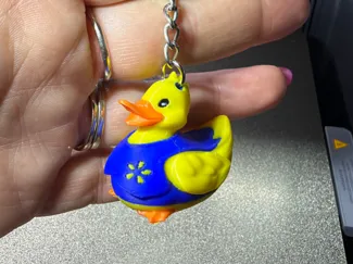 Walmart Duck with Spark Vest