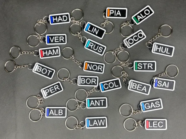 https://makerworld.bblmw.com/makerworld/model/US1894042145067e/design/77dff96fcbf021f9.jpg