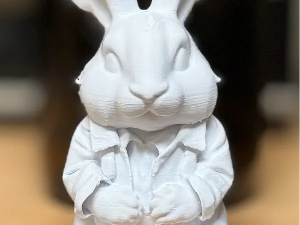 https://makerworld.bblmw.com/makerworld/model/US189700e05d087/design/2025-03-11_eacff84b694618.jpg