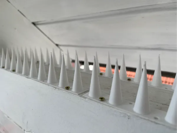 https://makerworld.bblmw.com/makerworld/model/US1897ac4a76fb72/design/2024-11-12_2366d4e50cb8a.jpg