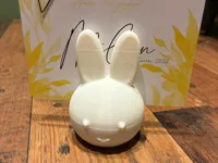 0.12mm layer, 3 walls, 0% infill