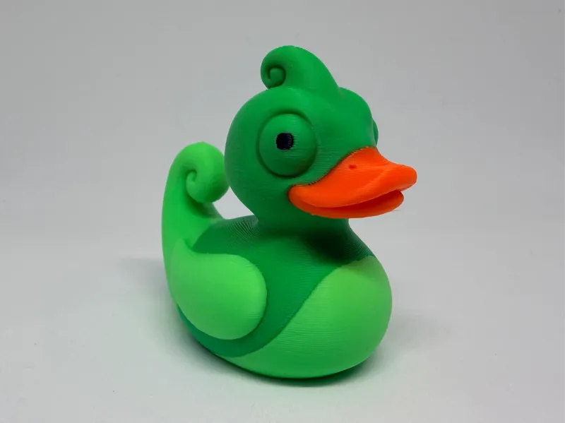 Chameleon Duck