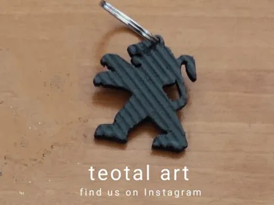 peugeot keychain carbon