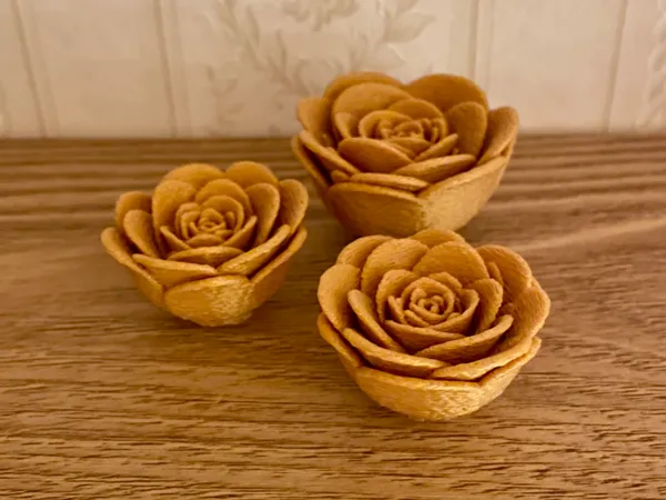 https://makerworld.bblmw.com/makerworld/model/US18a347a45c739a/design/2025-11-12_618b65b06fd888.jpeg
