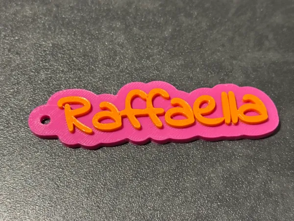 https://makerworld.bblmw.com/makerworld/model/US18a93e0f20384f/design/2025-06-22_fb10920504f7f8.jpeg