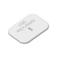 A1Mini - No-AMS