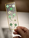 Four-leaf Clover