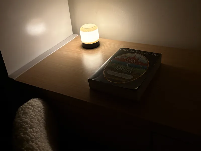 Small Fuzzy Desktop LED Lamp