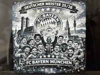 FCB Meister 25/26 200x200 0.08mm layer, 1 walls, 100% infill
