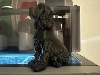cocker spaniel 3d