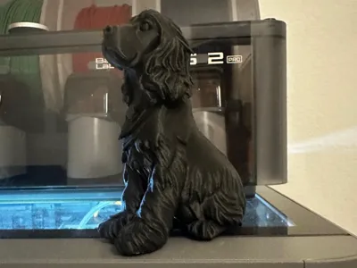 cocker spaniel 3d