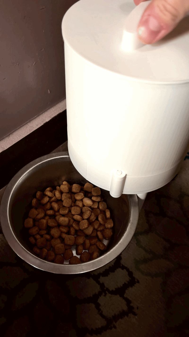 Modular Top-Turn Pet Feeder
