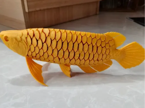https://makerworld.bblmw.com/makerworld/model/US18c9f738587ce8/design/f2ca106bcc687cb3.png
