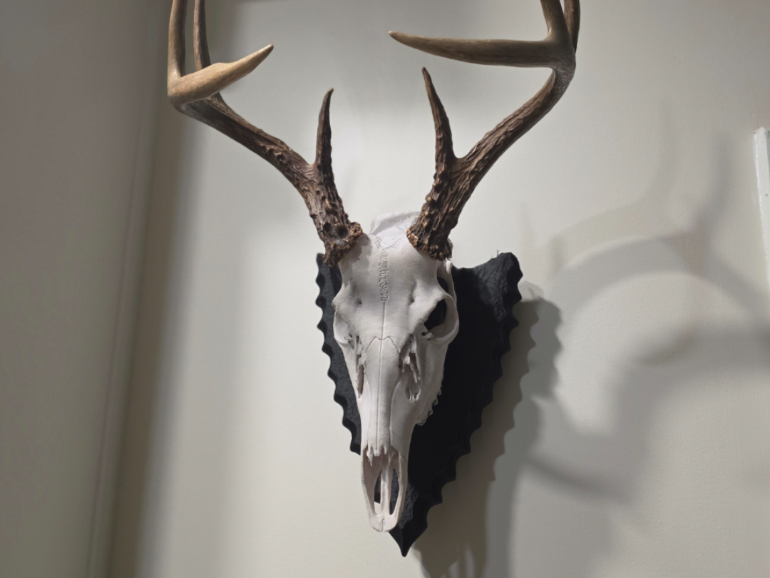Deer Skull Arrowhead Wall Mount - Modular