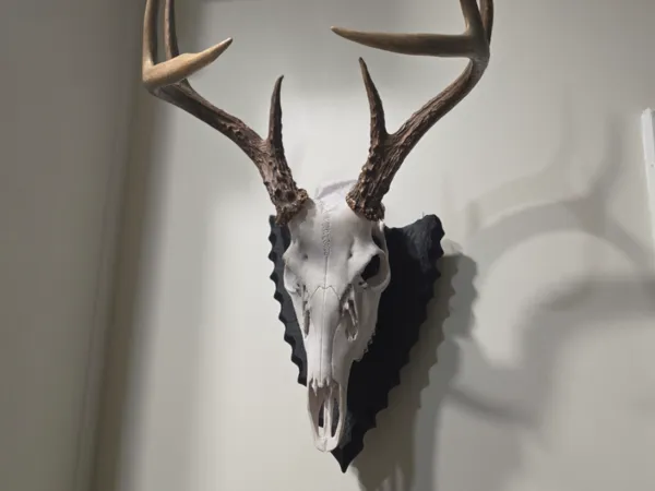 https://makerworld.bblmw.com/makerworld/model/US18d44e5809d025/design/8fbc3598fb43d4aa.jpg