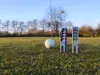 2 Versions with/without Ballmarker