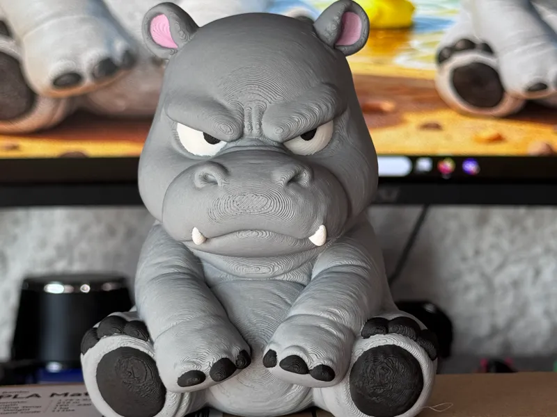 Grumpy Hippo