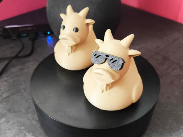 https://makerworld.bblmw.com/makerworld/model/US18e528e9b548d5/design/2025-02-23_c8c09ede3cfd6.jpg