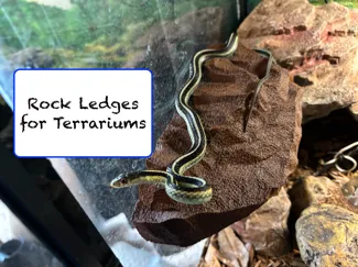 Medium Magnetic Rock Ledge for Terrariums
