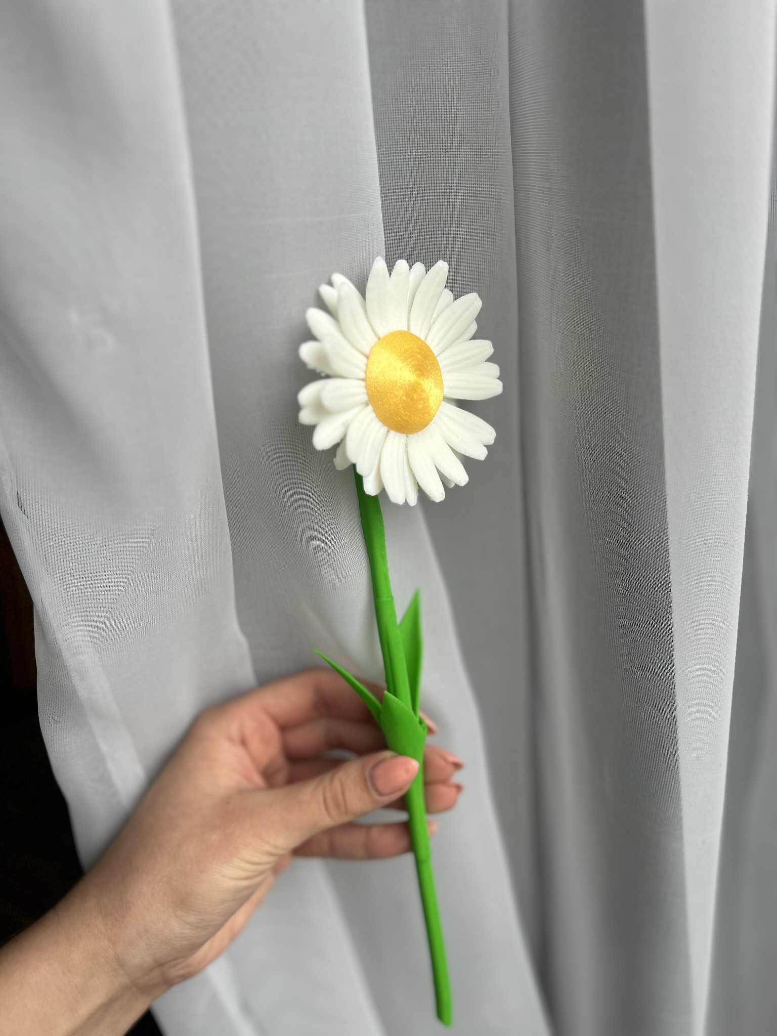 Miniatura 3 do modelo 3D Daisy Flower
