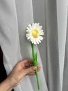 1x Daisy Flower to Vase