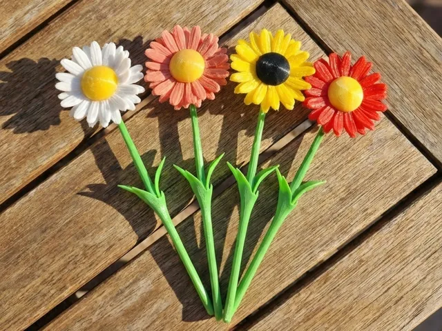 Daisy Flower