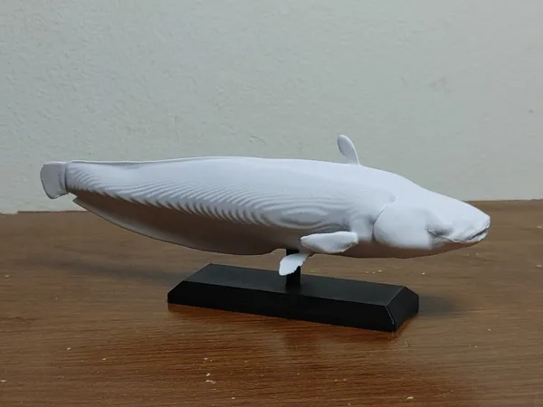 https://makerworld.bblmw.com/makerworld/model/US18eb379f0d6b9b/design/2024-12-14_c5c6886af0674.jpg