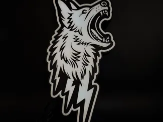 Duc Storm Logo Lightbox