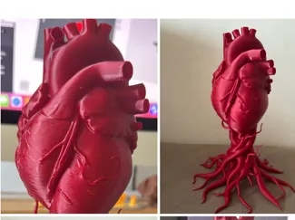 The Root of Everything