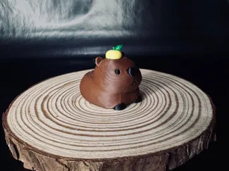 Cute Chubby Capybara